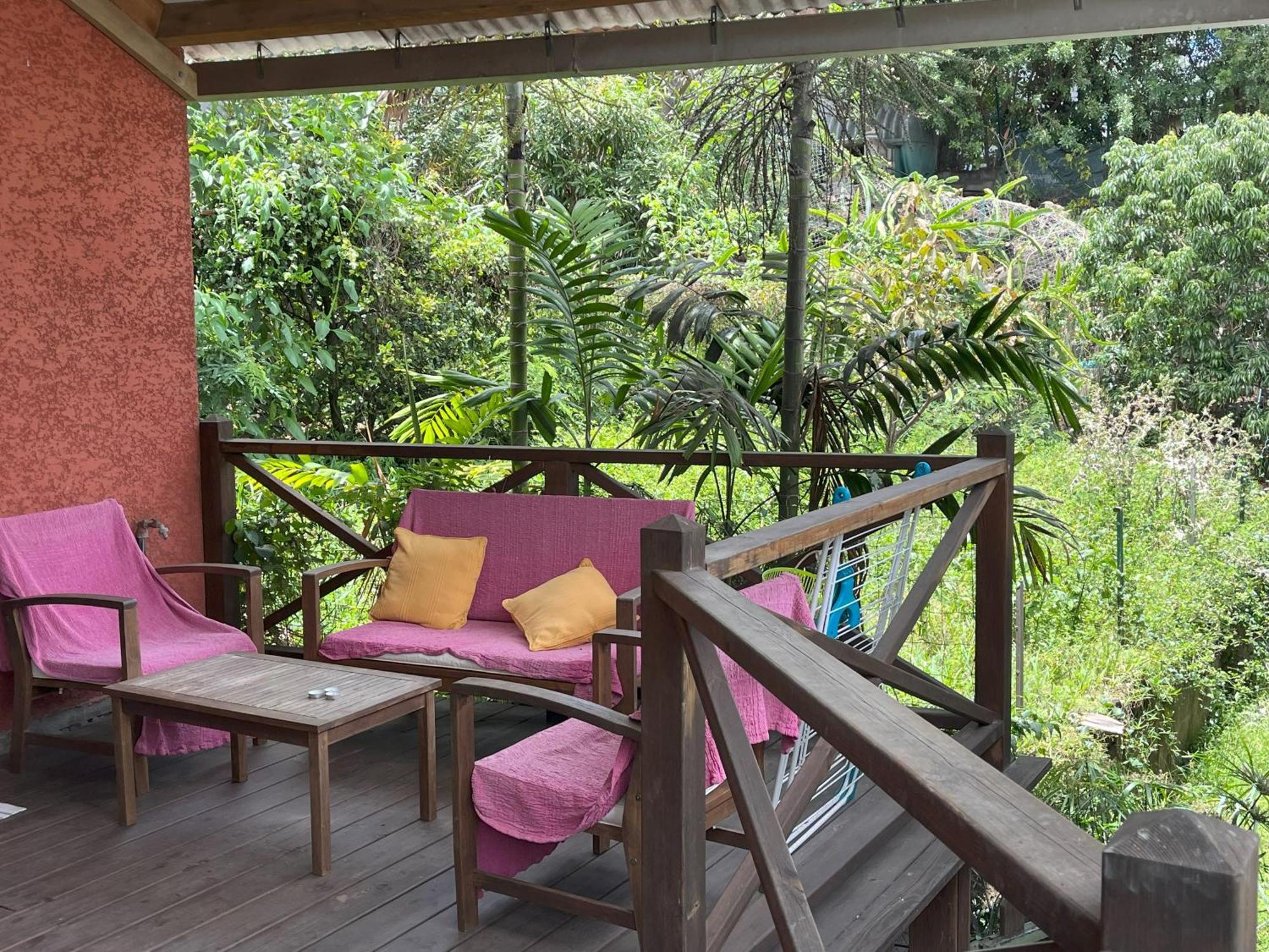 La Bananeraie Apt 35M2 Piscine Jardin Tropical Parking Prive サン・ル エクステリア 写真