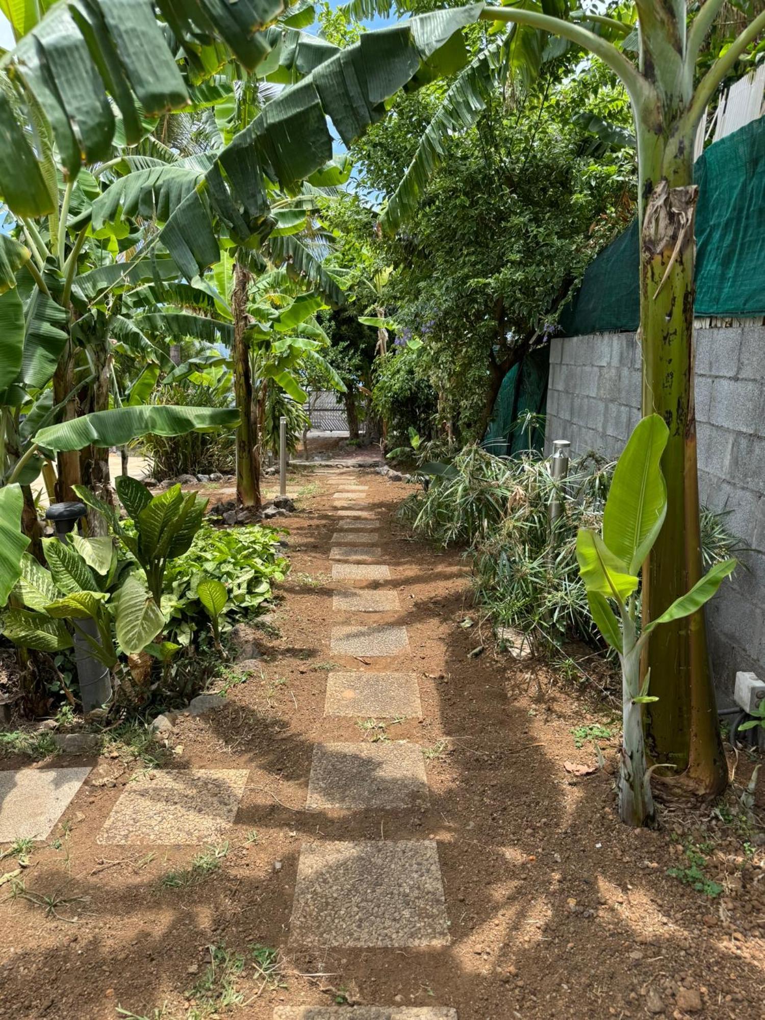 La Bananeraie Apt 35M2 Piscine Jardin Tropical Parking Prive サン・ル エクステリア 写真