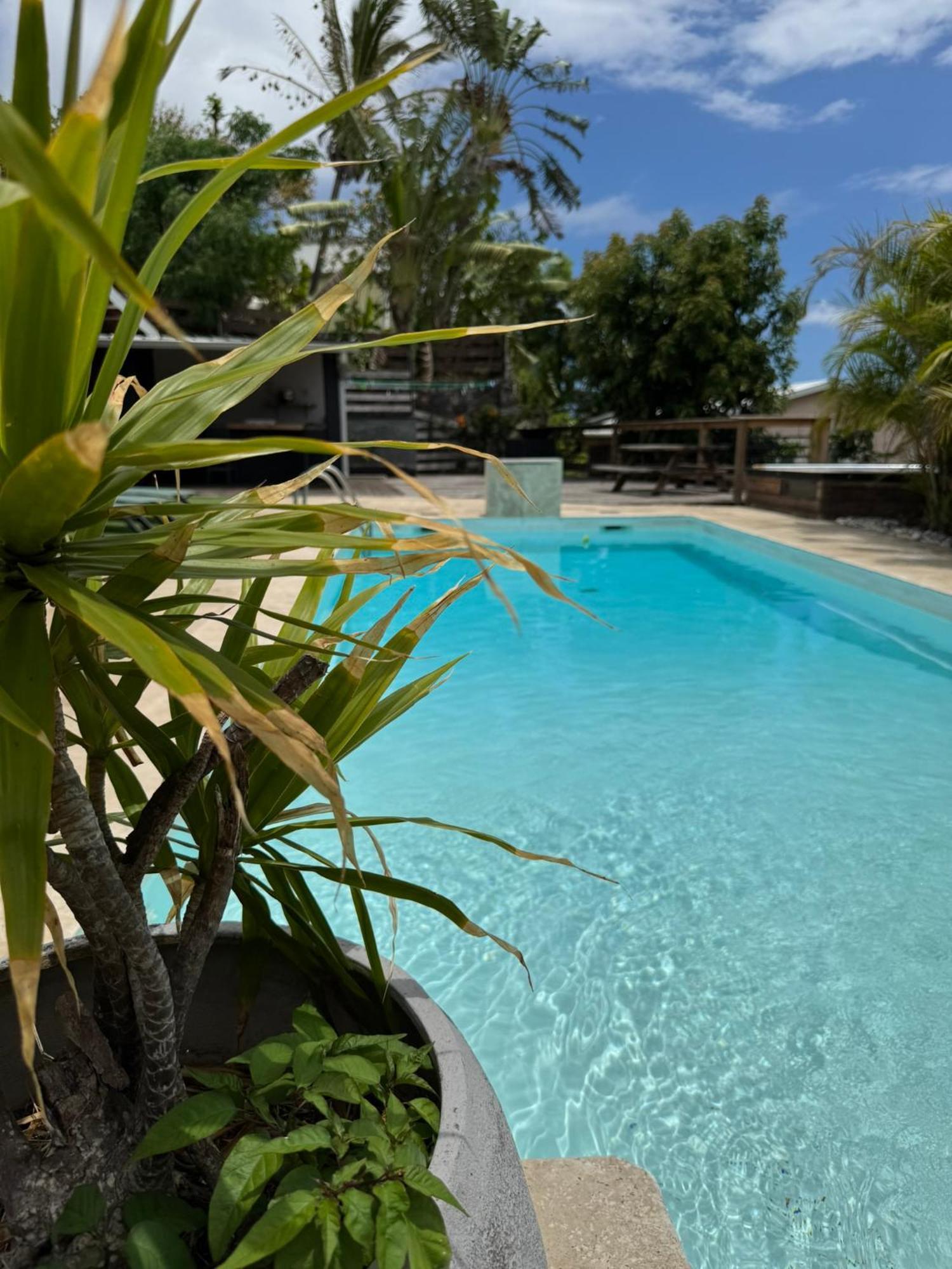 La Bananeraie Apt 35M2 Piscine Jardin Tropical Parking Prive サン・ル エクステリア 写真