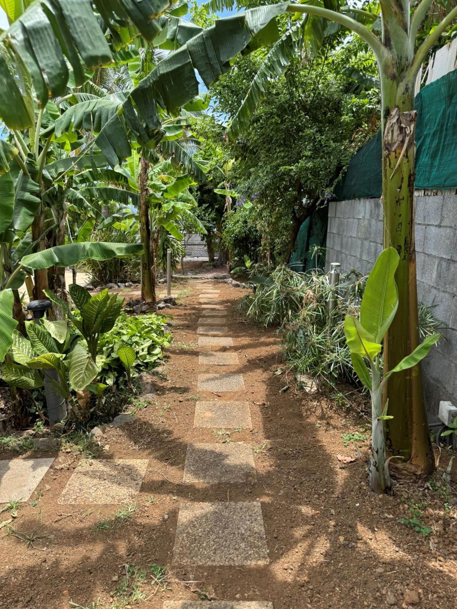 La Bananeraie Apt 35M2 Piscine Jardin Tropical Parking Prive サン・ル エクステリア 写真