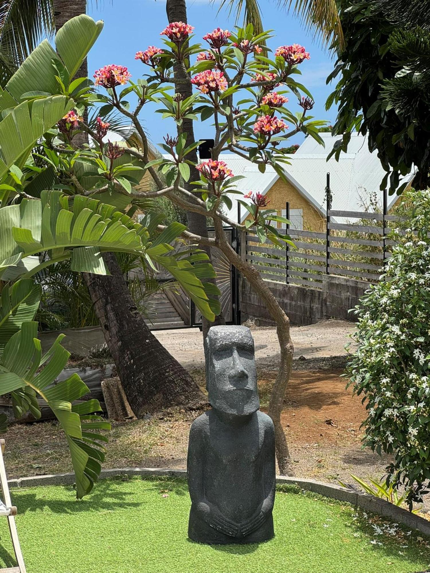 La Bananeraie Apt 35M2 Piscine Jardin Tropical Parking Prive サン・ル エクステリア 写真